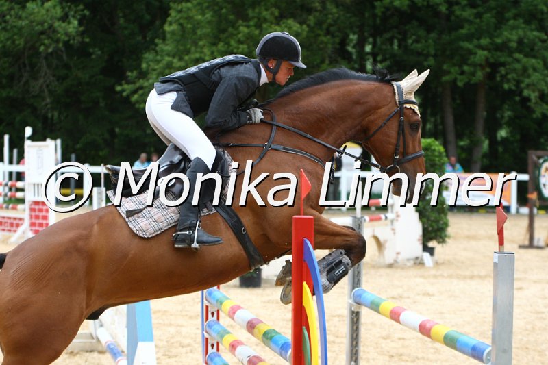 006M7938_Spring M.JPG